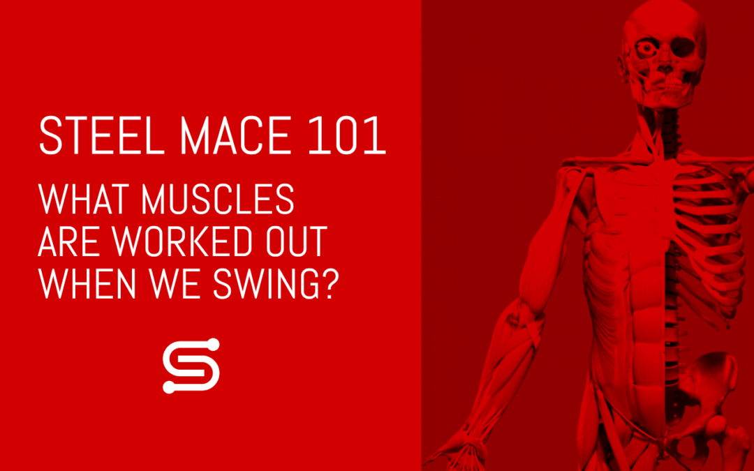 What muscles are worked out during the Steel Mace 360 and 10-to-2?