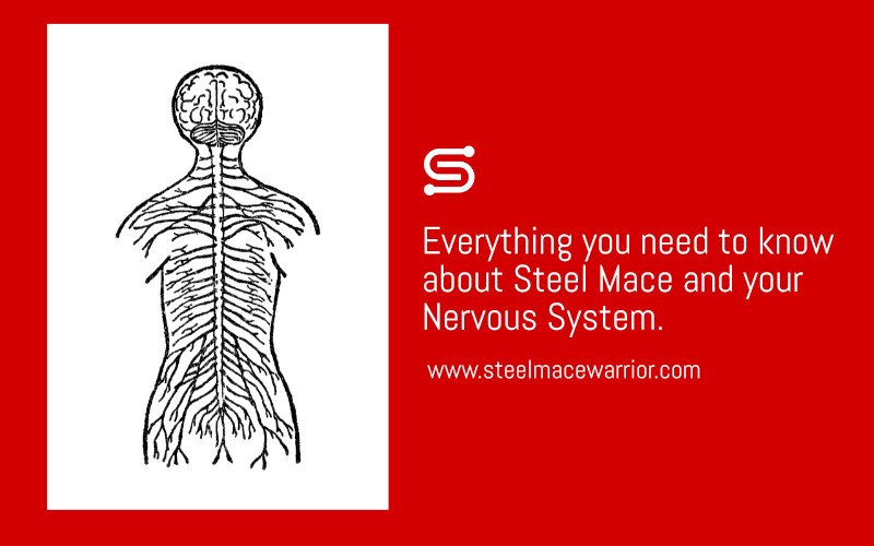 Everything you need to know about Steel Mace Training and your Nervous System